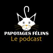 Podcast Papotages félins