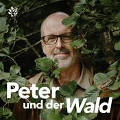 Podcast Peter und der Wald