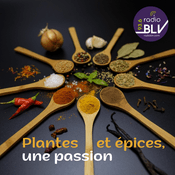 Podcast Plantes Et Épices