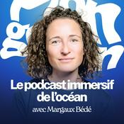 Podcast Plongeon