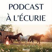 Podcast Podcast à l'écurie