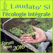 Podcast Podcast Domini - Laudato Si : l'écologie intégrale