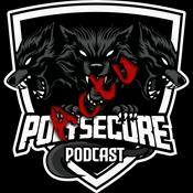 Podcast PolySécure Podcast volet Actualités