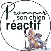 Podcast Promener son chien réactif