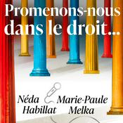 Podcast Promenons-nous dans le droit...