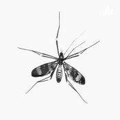 Podcast quais são as diferenças das doenças do mosquito aedes aegypti