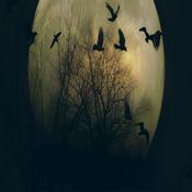 Podcast RadioDixie - Bemanova Noční můra