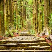 Podcast RD-1908 Transcript