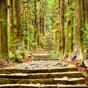 Podcast RD-1962 Episodic