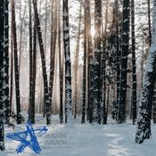 Podcast Retour aux sources - les bases de l'éducation par la nature