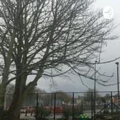 Podcast Rumahku Sekolahku