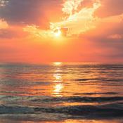 Podcast S.O.L Purpose