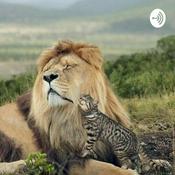 Podcast SAVING THEM AGAINT FIP
