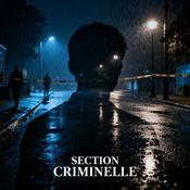Podcast Section Criminelle