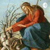 Podcast Seeyonsanjari