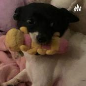 Podcast Sydney podcast