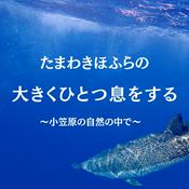 Podcast たまわきほふらの大きくひとつ息をする〜小笠原の自然の中で〜