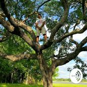 Podcast The Average Guy