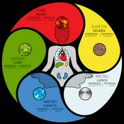 Podcast Complex Healing