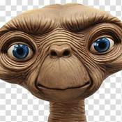 Podcast The Horncast