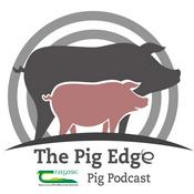 Podcast The Pig Edge