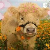 Podcast The Quaranteens