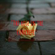 Podcast "The rose in the concrete"
