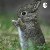 Podcast The Teamfluffenuff Podcast