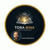 Podcast ToraBina : Torah &amp; 'Hassidout