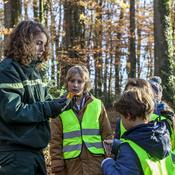Podcast Tous en forêt !