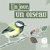 Podcast Un jour, un oiseau