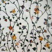 Podcast United Nations and its politics