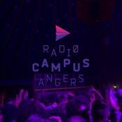 Podcast United We Skank - Dub