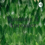 Podcast Vamonos A Aprender