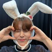 Podcast Verbal Timelines with ARMYREALLY
