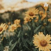 Podcast Weas Que Pasan