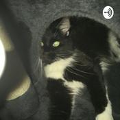 Podcast What I’m thinking