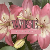 Podcast Wise Pathway