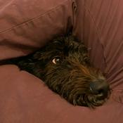 Podcast Bitácoras Espaciales 🚀