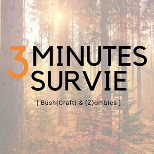 3 minutes survie