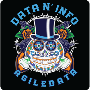 Agile Data N’ Info
