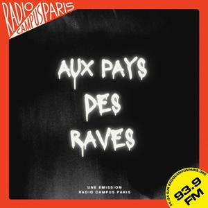 Aux pays des raves
