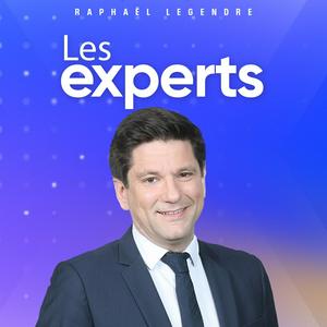 Les experts