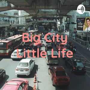 Big City Little Life