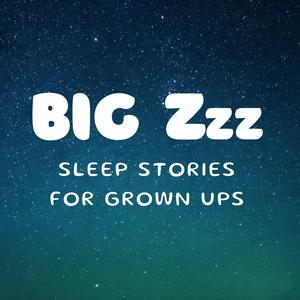 Big Zzz: Sleep Stories for Grown Ups