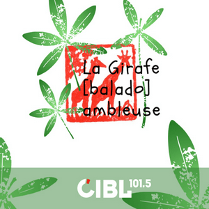 CIBL 101.5 FM : La Girafe Ambleuse