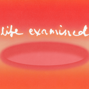 Life Examined