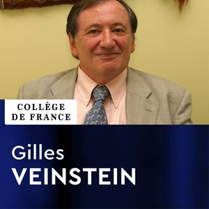 Histoire turque et ottomane - Gilles Veinstein