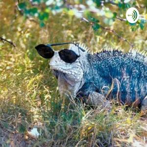 Iguana Meat