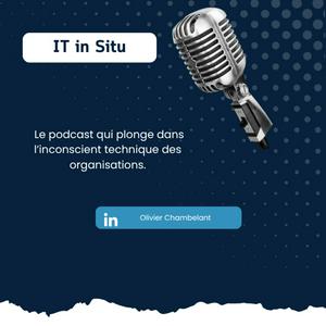 IT in Situ – Plongée dans l'inconscient technique des organisations